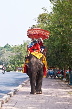 elefant bir turist ajutthaja binmek