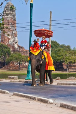 elefant bir turist ajutthaja binmek