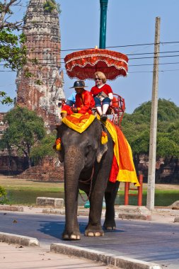 elefant bir turist ajutthaja binmek