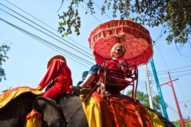 elefant bir turist ajutthaja binmek