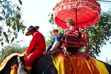 elefant bir turist ajutthaja binmek