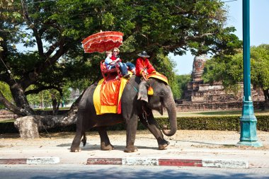 elefant bir turist ajutthaja binmek