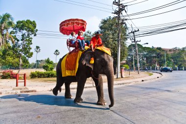 Tourists on an elefant ride in Ajutthaja clipart