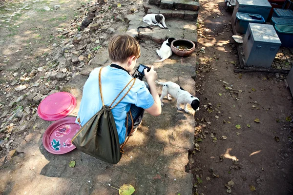 Menino tirando foto de um cachorro na área do templo — Fotografia de Stock