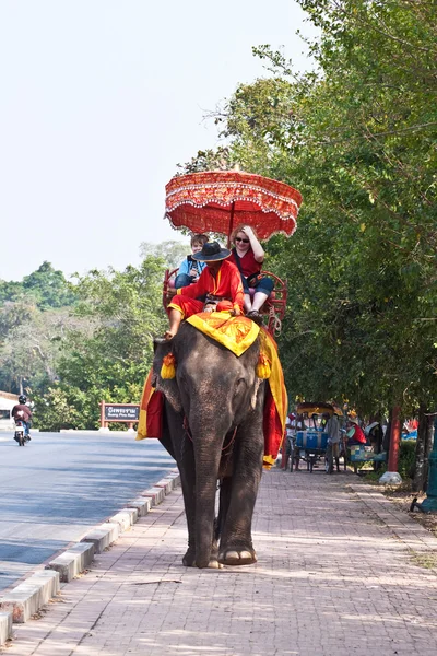 Elefant bir turist ajutthaja binmek — Stok fotoğraf