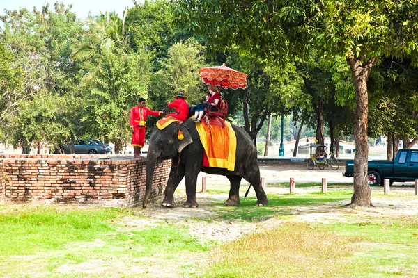 Туристы на слоне ездить в Ajutthaja — стоковое фото