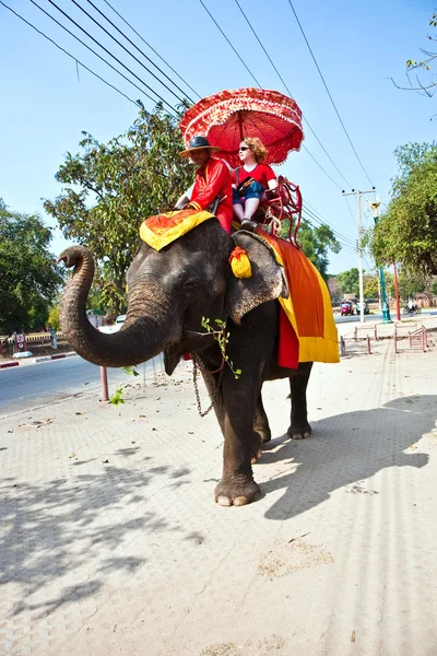 Turistas en un paseo elefante en Ajutthaja — Foto de Stock