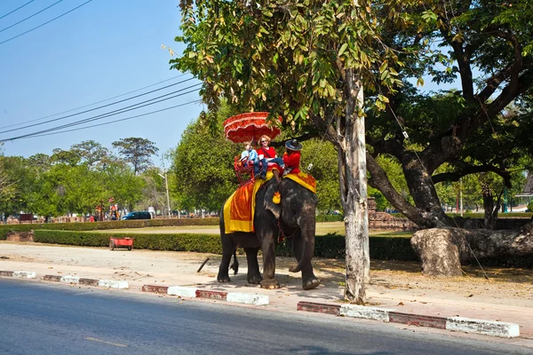 Turystów na elefant jeździć w ajutthaja — Zdjęcie stockowe