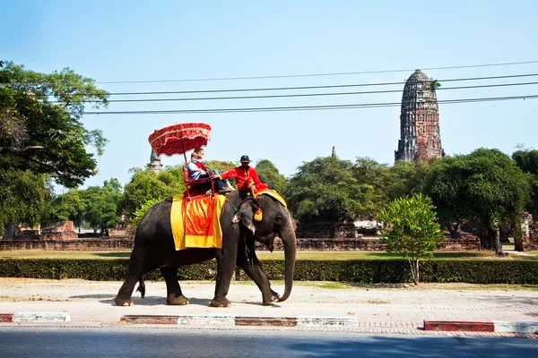 Туристы на слоне ездить в Ajutthaja — стоковое фото