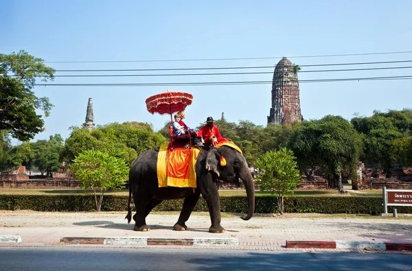 Turistas em um passeio de elefante em Ajutthaja — Fotografia de Stock