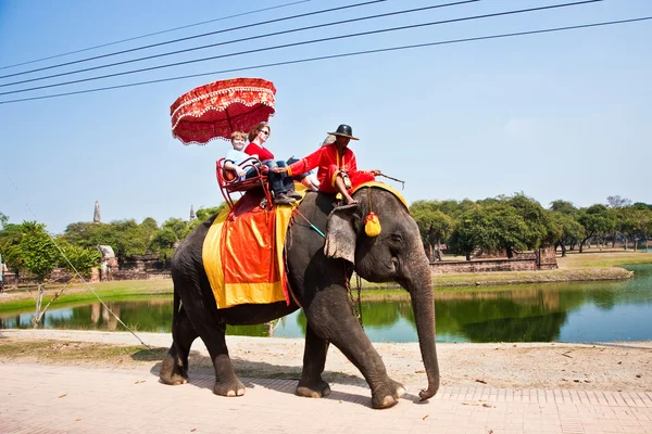 Для туристів в elefant їздити в Ajutthaja — стокове фото