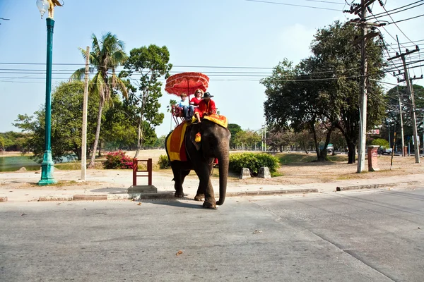 Turistas en un paseo elefante en Ajutthaja — Foto de Stock