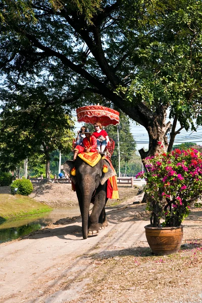 Turistas en un paseo elefante en Ajutthaja —  Fotos de Stock