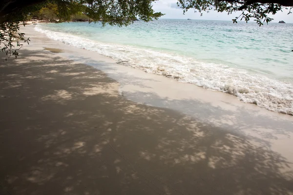 Smuk strand med fint hvidt sand og træer og blåt hav - Stock-foto