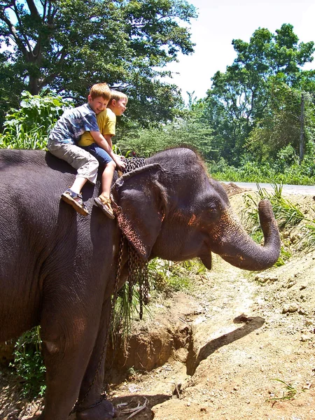 Children riding on an elephant and having fun — Stock Photo, Image