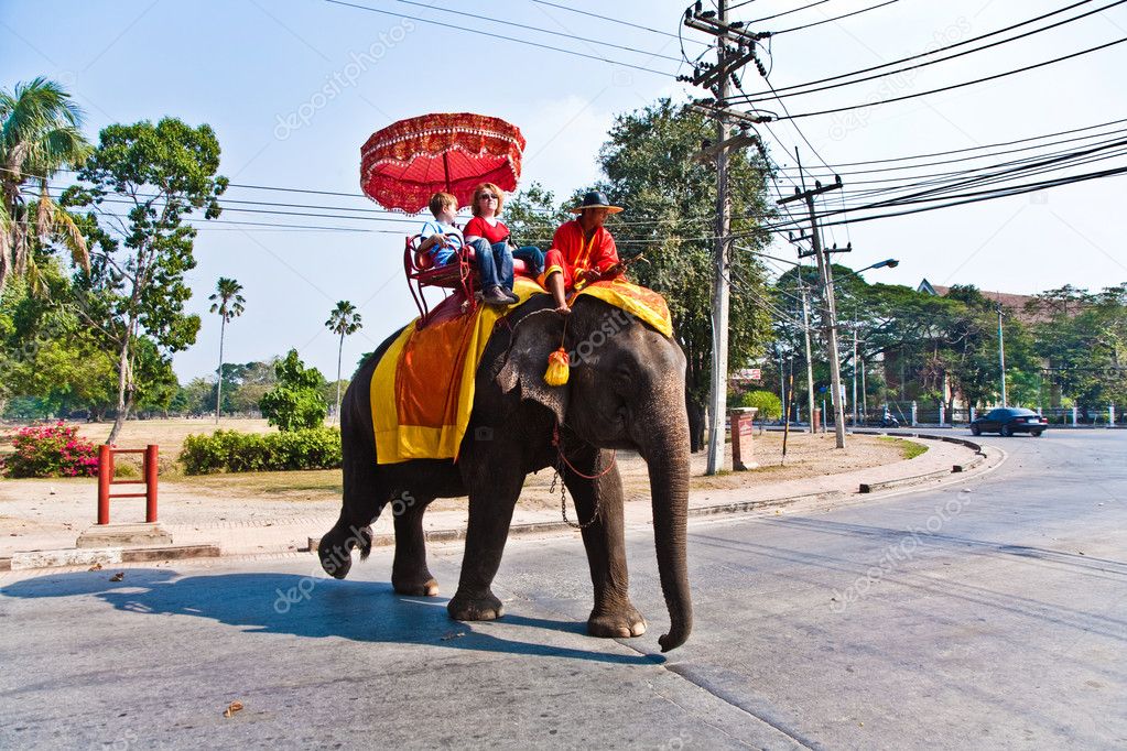 Tourists on an elefant ride in Ajutthaja