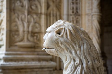 su aslan, Lizbon, belem güzel jeronimos monastery