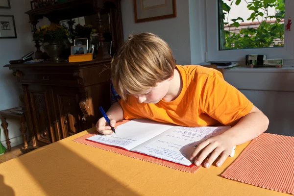 मुलगा घरी शाळेसाठी होमवर्क करत आहे — स्टॉक फोटो, इमेज