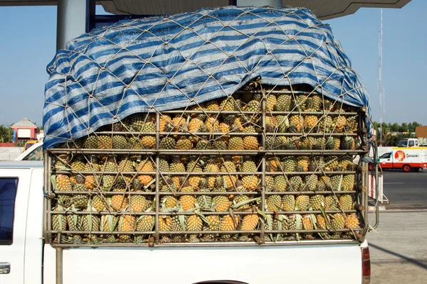 Ananas werden geheftet, verladen und auf einem Pickup transportiert — Stockfoto