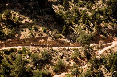 Scenic Bright Angel Trail at the Grand Canyon clipart