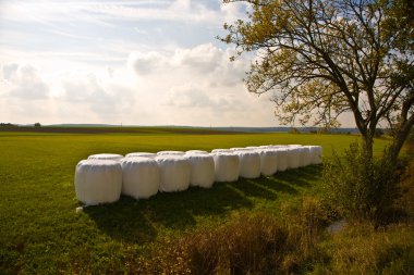 Bale of straw in automn in intensive colors clipart