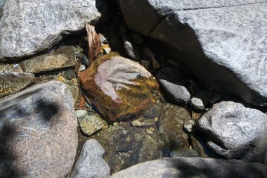 temiz soğuk su yosemite su ile bir dere içinde renkli taşlar