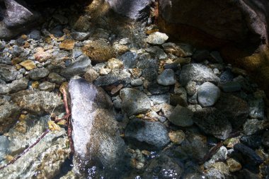 temiz soğuk su yosemite su ile bir dere içinde renkli taşlar