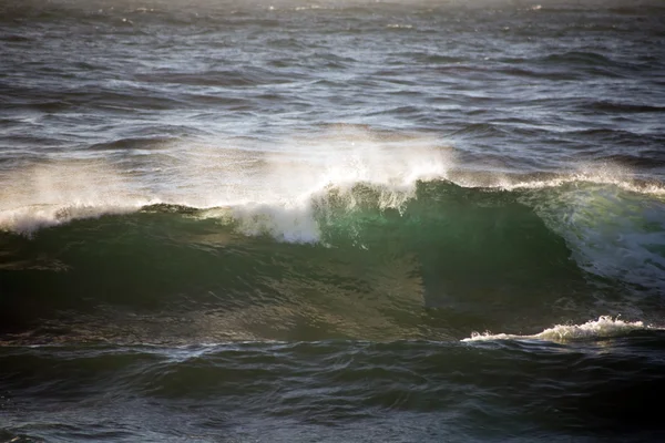 Wellen mit weißem Wellenkamm — Stockfoto