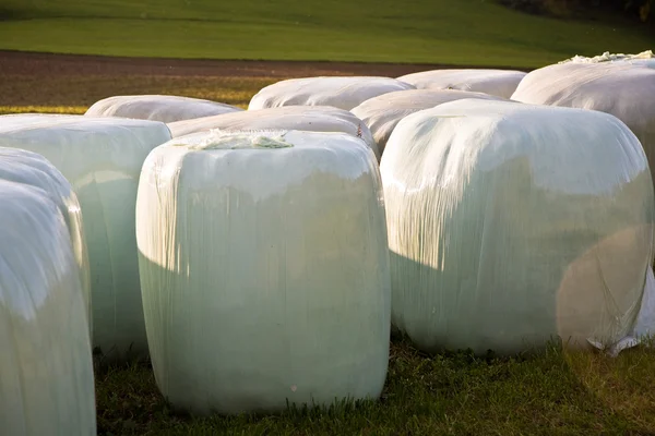 Bale of straw infold in plastic film — Stock Photo, Image