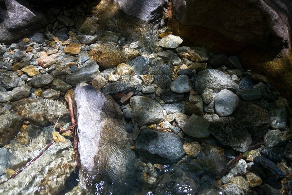 Colorful stones in the clear cold water of a creek with water from yosemite — Stock Photo, Image
