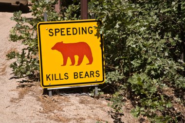 tehlike işareti, hız ayı yosemite Milli Parkı içinde öldürüyor.