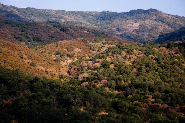 Schöne Landschaft mit bunten Büschen und Bäumen in der Nähe von drei Flüssen an der Einmündung — Stockfoto