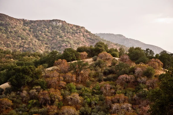 Ładny krajobraz kolorowy bushesand drzew w pobliżu trzech rzek w entr — Zdjęcie stockowe