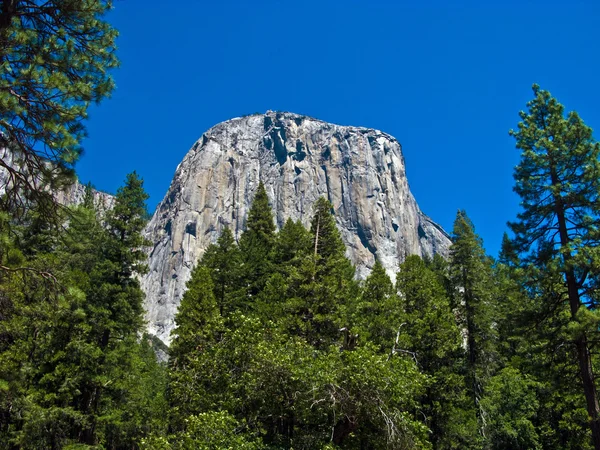 Famous rock formation in the romantic valley of yosemite park — Stock Photo, Image
