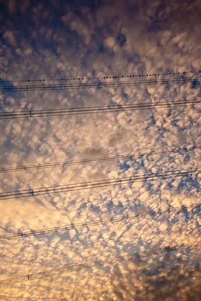 Beautiful sky with clouds in early morning at sunrise, birds on wire of ele — Stock Photo, Image