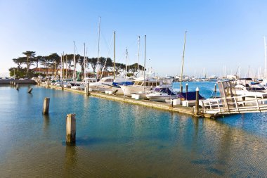 Marina in San Francisco with boats in beautiful weather clipart