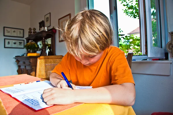 Boy doing his homework at home — Stock Photo, Image