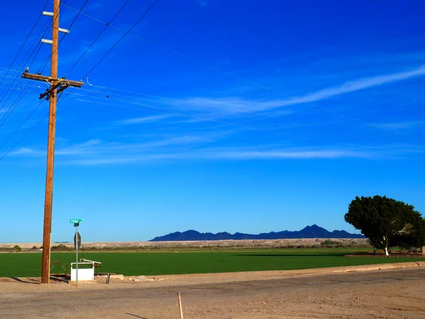 Menara listrik dengan lapangan jalan dan hijau di Yuma — Stok Foto