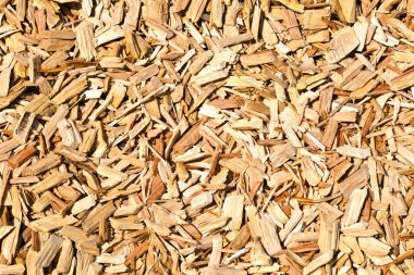 Wood shavings on the floor clipart