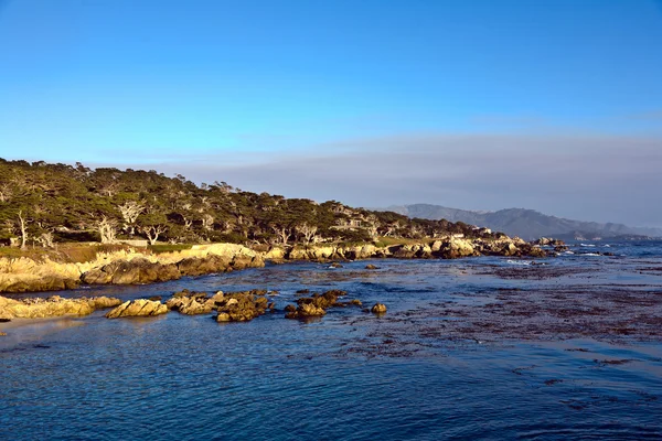 Côtes à Point Lobos au coucher du soleil — Photo