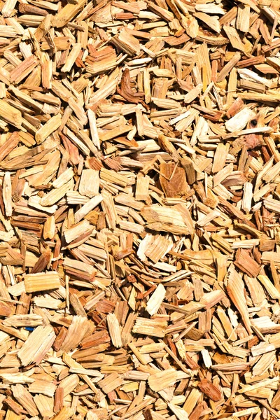 Virutas de madera en el suelo — Foto de Stock
