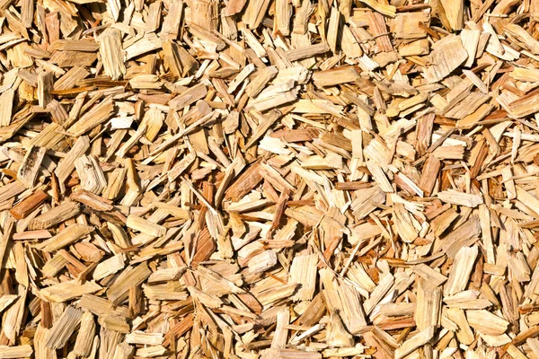 Copeaux de bois sur le sol — Photo