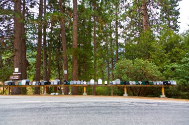 Letterboxes of a small village in the Sequoia National Forest clipart