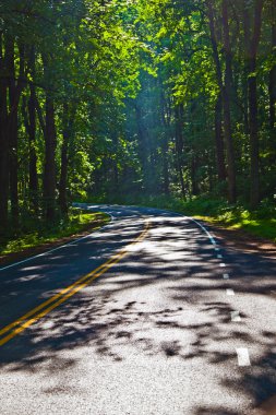 güzel bir manzara ülke road eğrileri shenandoah milli parkın içinden.