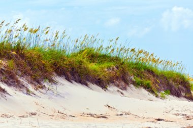 Grass on a beach during stormy season clipart