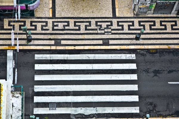 Vogels met het oog op een zebrapad in het oude gedeelte van Lissabon, portugal — Stockfoto