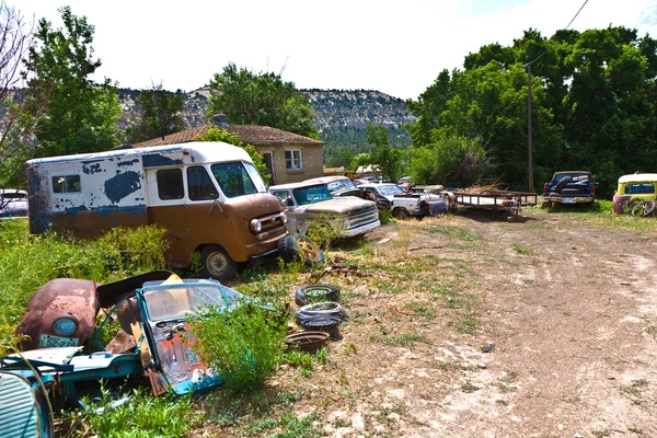 Двор мусора со старыми красивыми стариками — стоковое фото