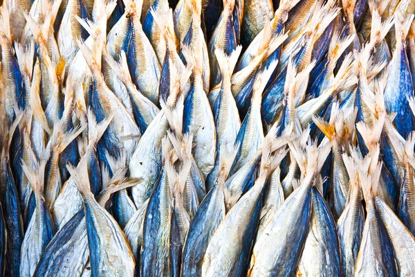 Stockfish Market — Stok fotoğraf