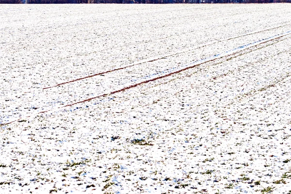 Marca de pneu no campo de neve no inverno — Fotografia de Stock