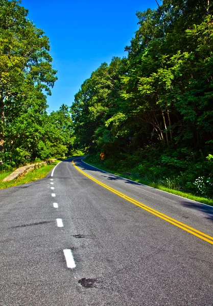 Beautiful scenic country road curves through Shenandoah National Park. — Stock Photo, Image